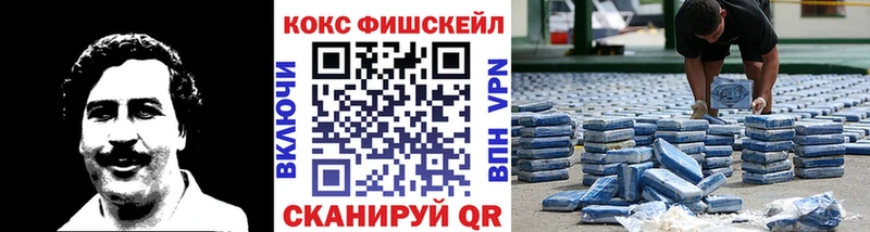 КОКАИН Fish Scale  где продают   KRAKEN как зайти  Володарск 
