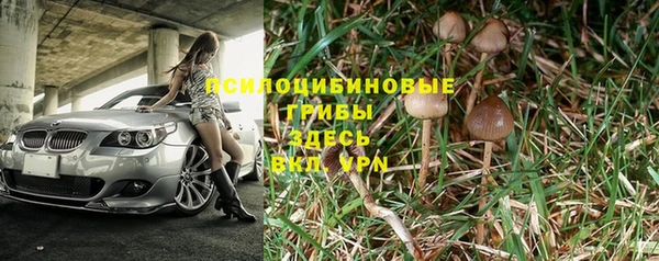 apvp Бугульма