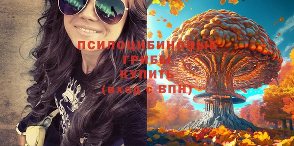 синтетический гашиш Бородино