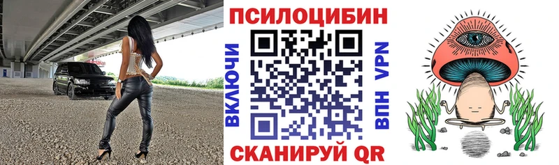 Галлюциногенные грибы Psilocybe  где продают   Володарск 